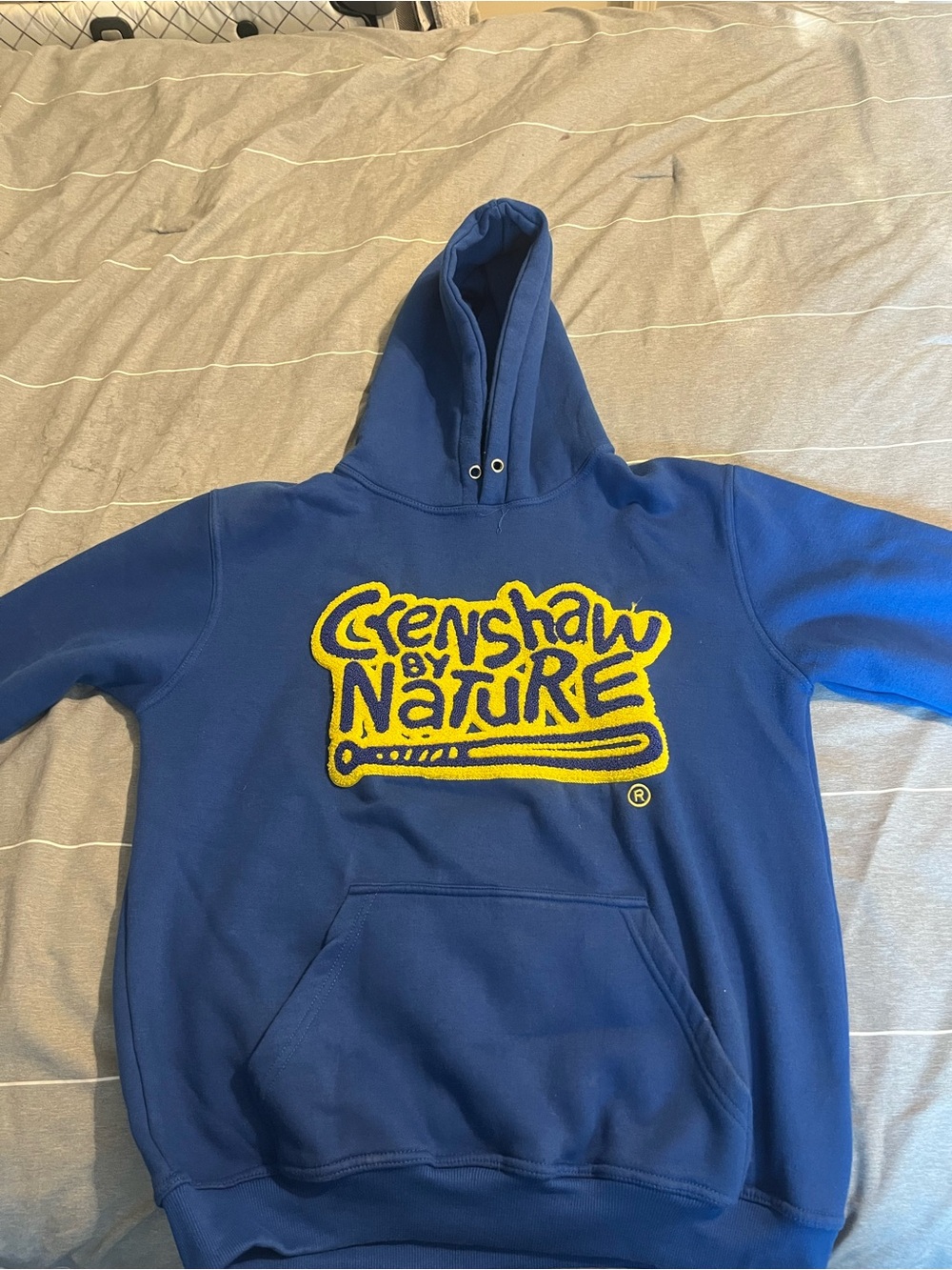 Blue Hooded Sweatshirt